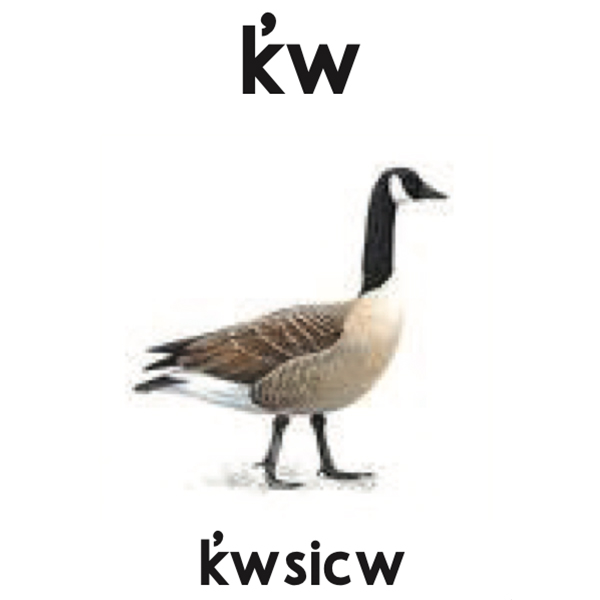 k̕w