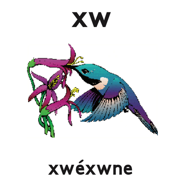 xw